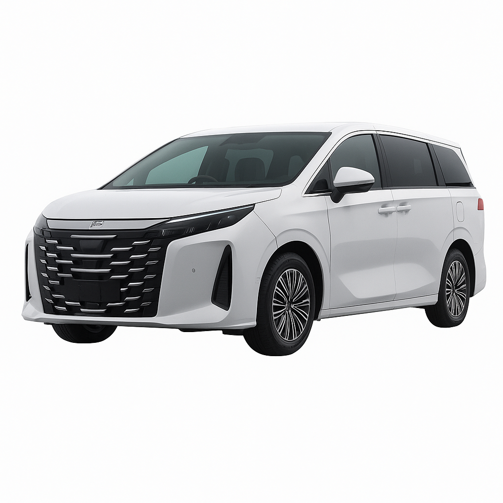 BYD M9